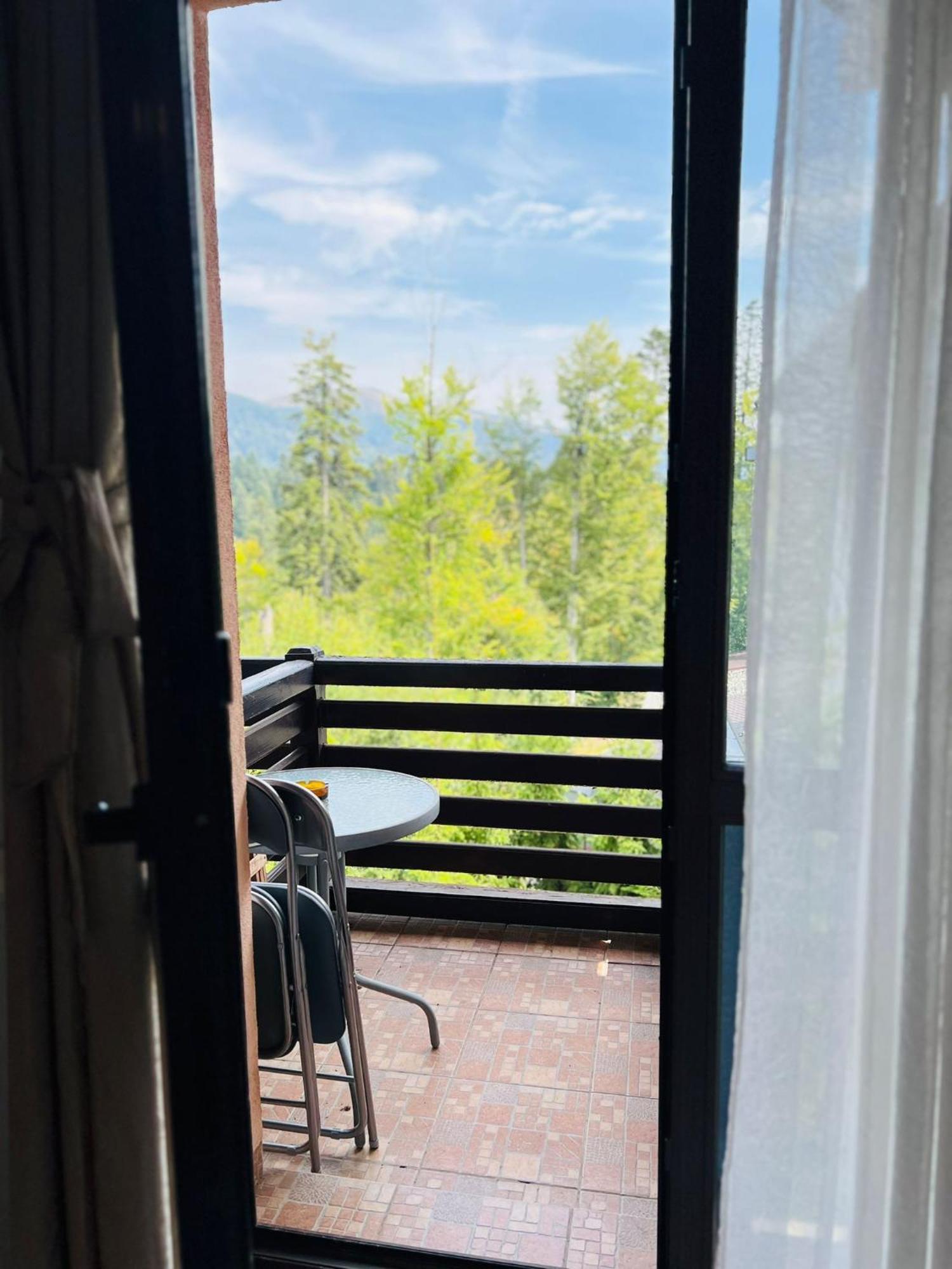 Ski Chalet Sinaia *